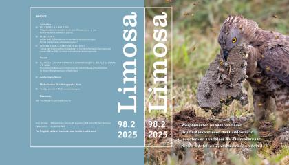 Limosa 98.2 