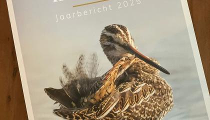 Cover Jaarbericht Friese weidevogels 2025