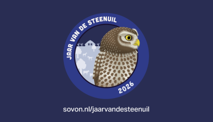 Jaar van de Steenuil