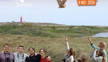 Teams van Texel Big Day
