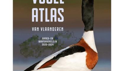 Vlaamse Vogelatlas